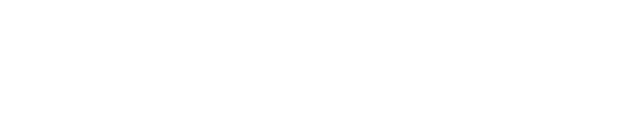 B-FLEX Logo